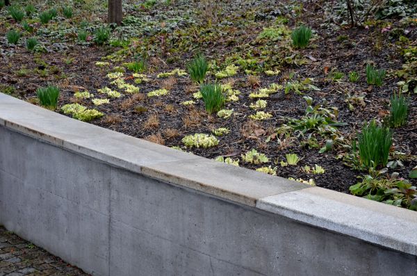 Concrete Wall Construction in Yorba Linda