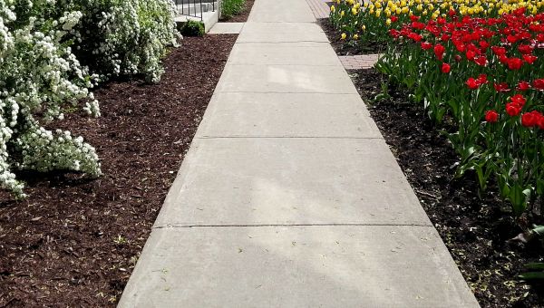 Sidewalk Slab Replacement in Yorba Linda