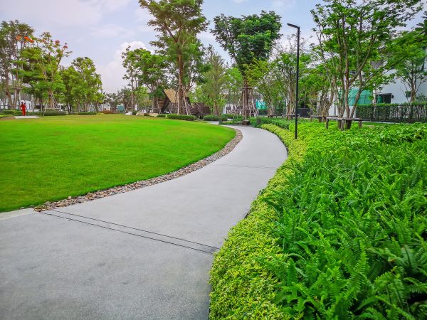 Cement Walkway Service in Yorba Linda
