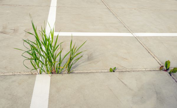Concrete Parking Installation in Yorba Linda