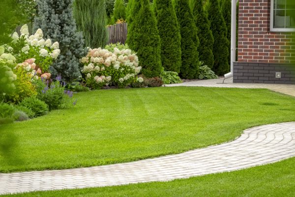 Landscape Walkway Installation in Yorba Linda