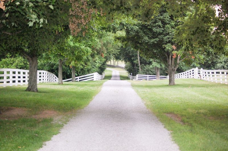 Cement Driveway Installation